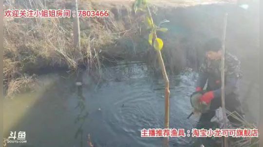 十一郎君01发布了一个斗鱼视频2020-02-18