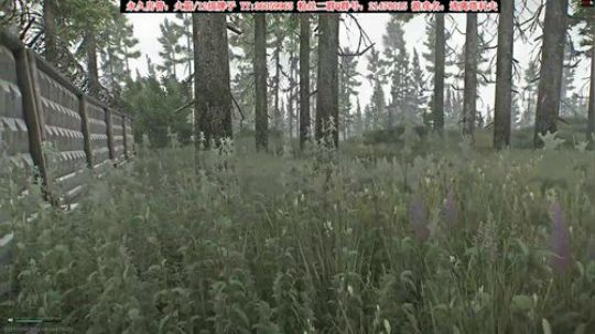 【二哥】血赚哟~ 2020-02-19 16点场