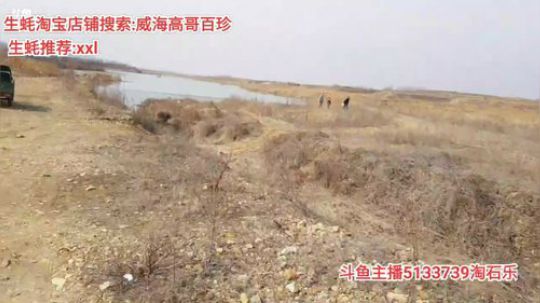 西北老狼哥哥发布了一个斗鱼视频2020-02-19