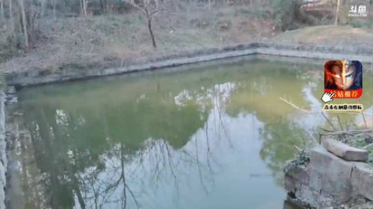 肖淑洁生命中的光和盐发布了一个斗鱼视频2020-02-19