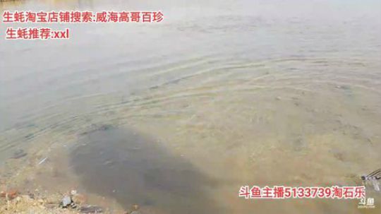 西北老狼哥哥发布了一个斗鱼视频2020-02-19