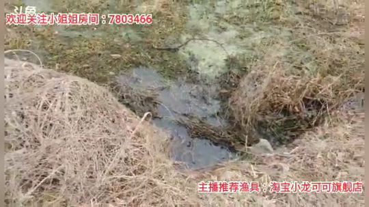 十一郎君01发布了一个斗鱼视频2020-02-19
