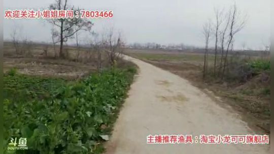 十一郎君01发布了一个斗鱼视频2020-02-19