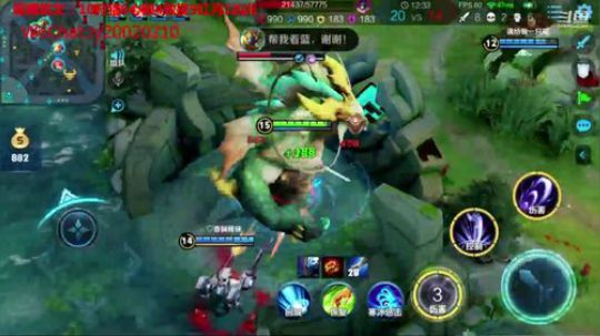 国服露娜带粉微信区区 2020-02-15 22点场