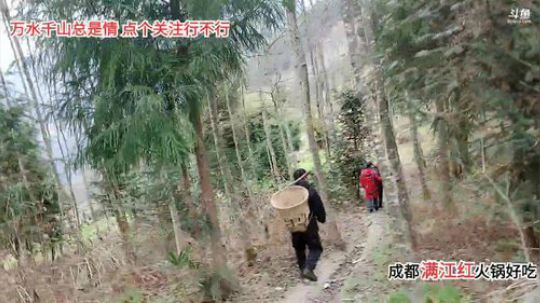 天天都是好心情(≧ω≦)/ 2020-02-20 15点场