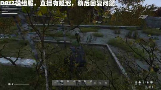 老牌DAYZ玩家尼欧 2020-02-20 01点场