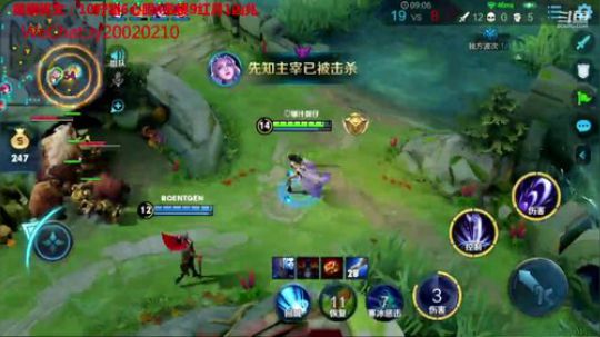 国服露娜带粉微信区区 2020-02-15 16点场