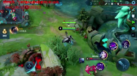 国服露娜带粉微信区区 2020-02-16 00点场