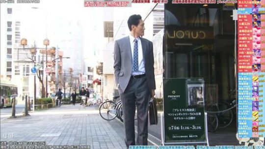 我在斗鱼看懒猫是只喵直播一起看