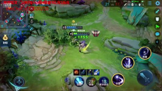 国服露娜带粉微信区区 2020-02-18 01点场