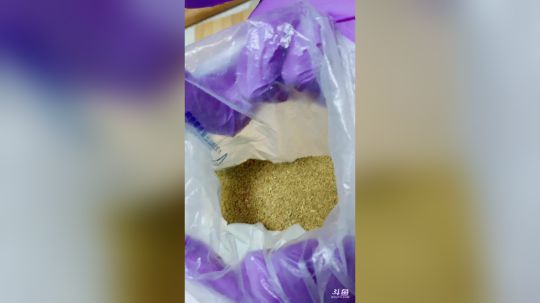 烈烈❥小厨娘环节-薯片鸡柳 2020-02-20 17点场