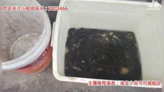 十一郎君01发布了一个斗鱼视频2020-02-21