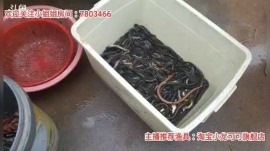 十一郎君01发布了一个斗鱼视频2020-02-21