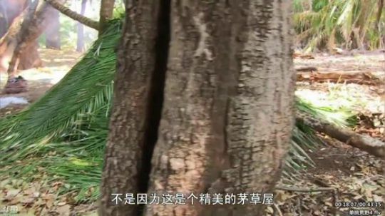 静思世语发布了一个斗鱼视频2020-02-21