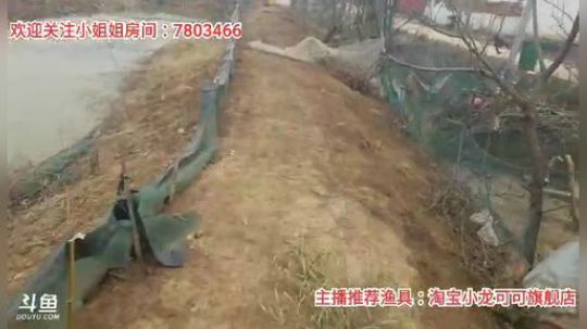 十一郎君01发布了一个斗鱼视频2020-02-21
