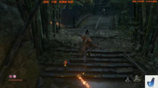 白给少女：只狼 影逝二度 2020-02-21 03点场