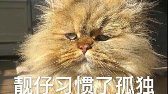 嘿嘿嘿