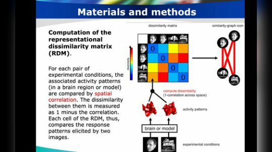 R-fMRI Journal Club 2020-02-21 08点场