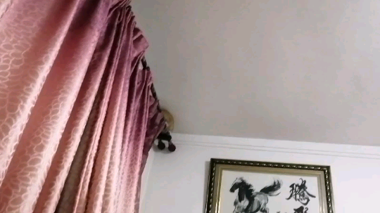 房顶的猫