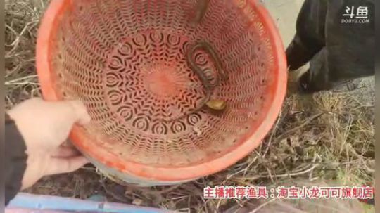 十一郎君01发布了一个斗鱼视频2020-02-23