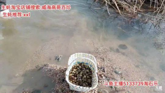 西北老狼哥哥发布了一个斗鱼视频2020-02-23