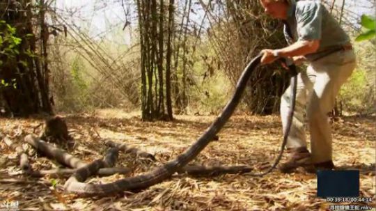 户外遛狗王飞哥发布了一个斗鱼视频2020-02-23