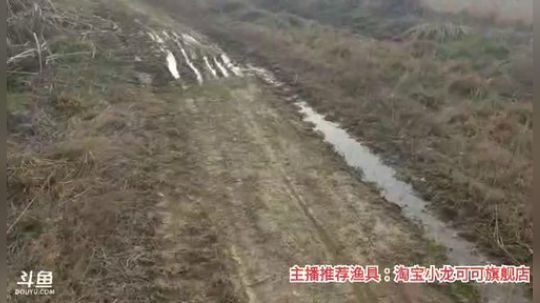 十一郎君01发布了一个斗鱼视频2020-02-23