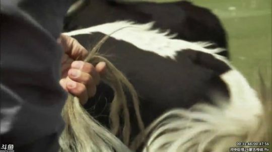 静思世语发布了一个斗鱼视频2020-02-23