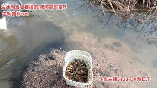 西北老狼哥哥发布了一个斗鱼视频2020-02-23