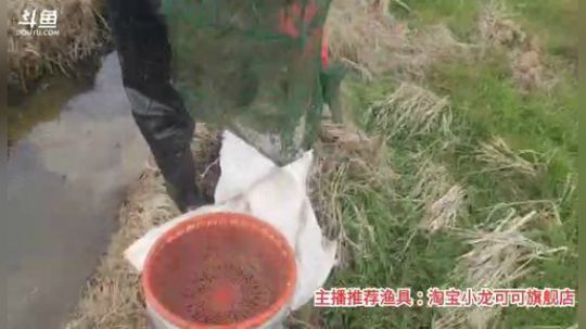 十一郎君01发布了一个斗鱼视频2020-02-24