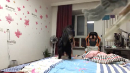 我与菲卡的运动方式！