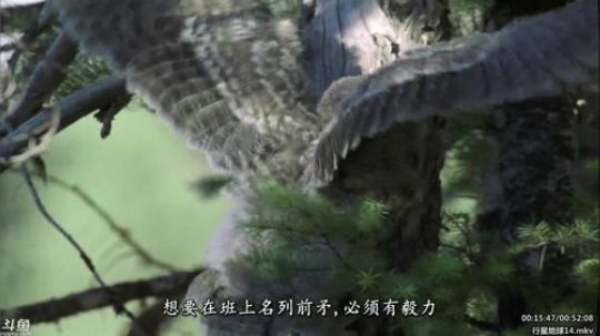 静思世语发布了一个斗鱼视频2020-02-24