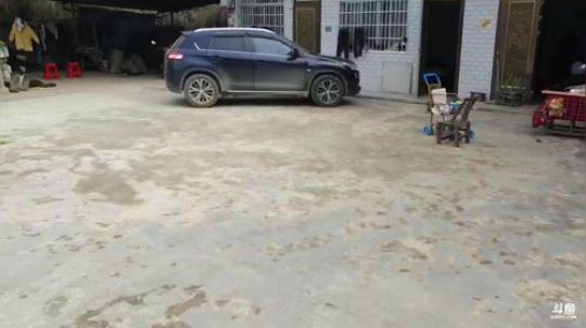 11点开播继续干塘。 2020-02-24 10点场