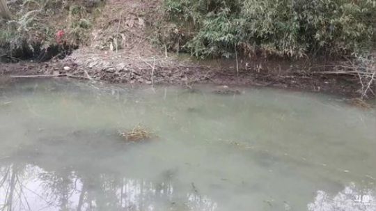 开心打野快乐美食。 2020-02-24 16点场