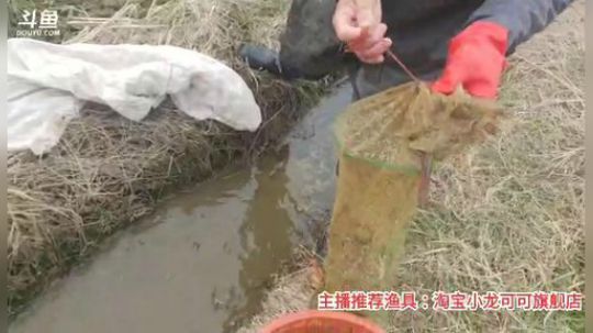 十一郎君01发布了一个斗鱼视频2020-02-24