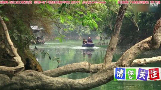 我在斗鱼看贱贱钓鱼直播乡野