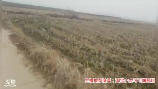 十一郎君01发布了一个斗鱼视频2020-02-25