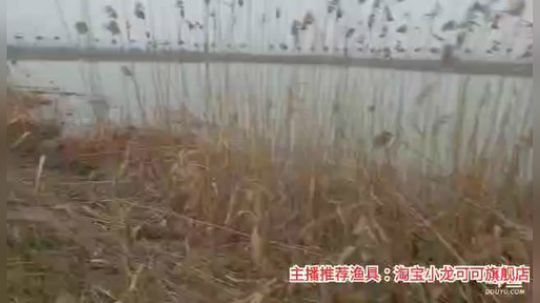 十一郎君01发布了一个斗鱼视频2020-02-25