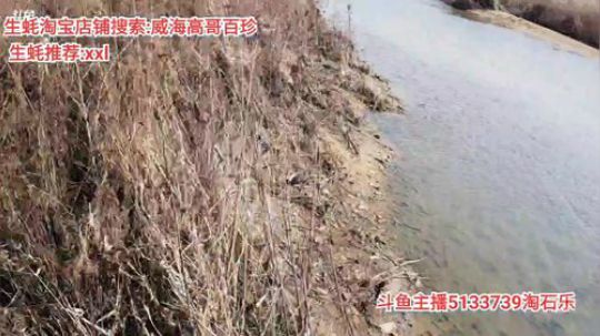 西北老狼哥哥发布了一个斗鱼视频2020-02-26