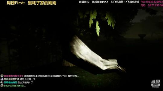 【黑叔叔】恐怖游戏解说 2020-02-24 17点场