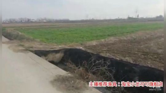 十一郎君01发布了一个斗鱼视频2020-02-26