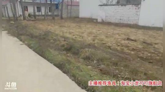 十一郎君01发布了一个斗鱼视频2020-02-27