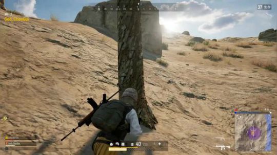 我在斗鱼看DL丶拖米直播王者荣耀