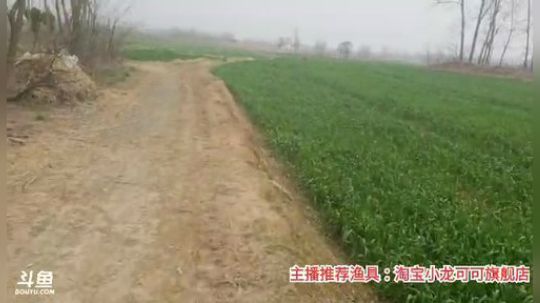 十一郎君01发布了一个斗鱼视频2020-02-27