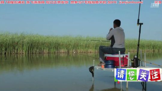 我在斗鱼看贱贱钓鱼直播乡野