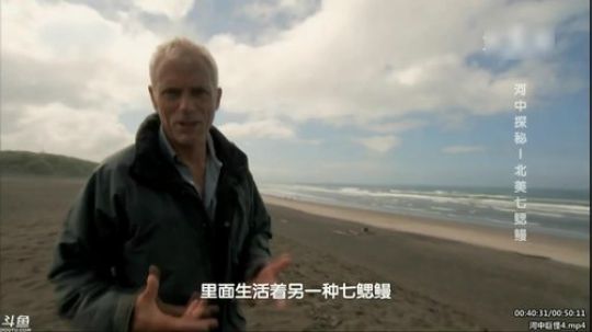 户外遛狗王飞哥发布了一个斗鱼视频2020-02-28