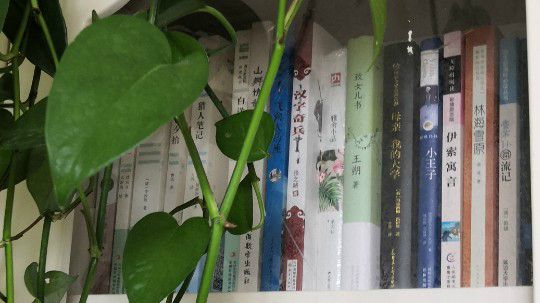 茅屋为秋风所破歌