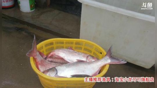 十一郎君01发布了一个斗鱼视频2020-02-29