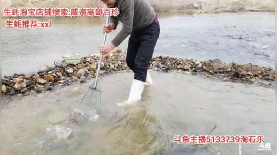 龙马精神丶老狼哥发布了一个斗鱼视频2020-02-29