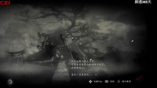 风暴，仁王2,女神异闻录P5R 2020-02-29 12点场